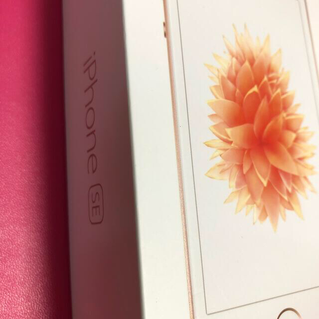 Apple(アップル)のiPhone純正イヤフォン⭐︎新品 スマホ/家電/カメラのオーディオ機器(ヘッドフォン/イヤフォン)の商品写真