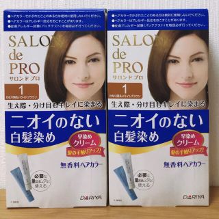 サロン(SALON)のSALON de Proの ニオイのない白髪染め 2個セット　新品未使用品(白髪染め)