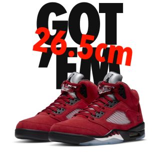 ナイキ(NIKE)の【新品・未使用】NIKE AIR JORDAN 5 Toro Bravo(スニーカー)