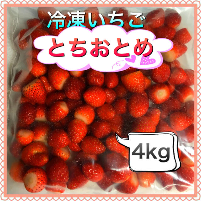 冷凍とちおとめ　現品限り特別価格　4kg ゆん様専用 食品/飲料/酒の食品(フルーツ)の商品写真