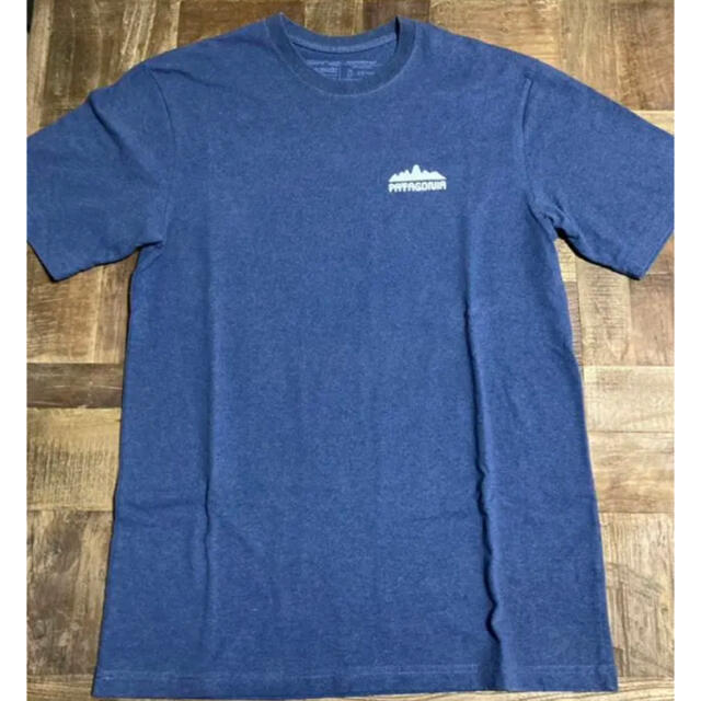 patagonia(パタゴニア)のパタゴニア  半袖Tシャツ　2019SSモデル メンズのトップス(Tシャツ/カットソー(半袖/袖なし))の商品写真