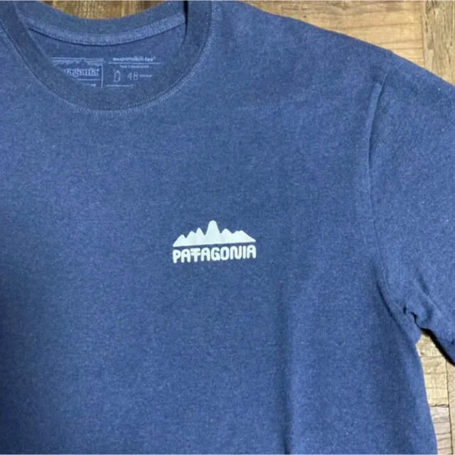 patagonia(パタゴニア)のパタゴニア  半袖Tシャツ　2019SSモデル メンズのトップス(Tシャツ/カットソー(半袖/袖なし))の商品写真