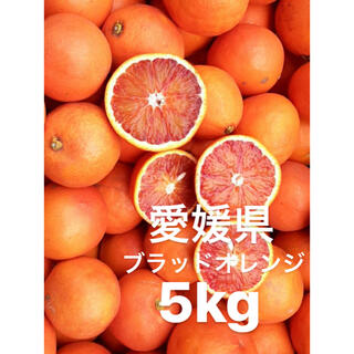 愛媛県　ブラッドオレンジ　タロッコ　5kg(フルーツ)