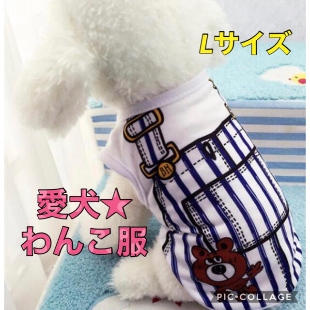 愛犬 わんこ 犬用 プリント Tシャツ 洋服 ストライプ ブルー  Lサイズ  その他のペット用品(犬)の商品写真