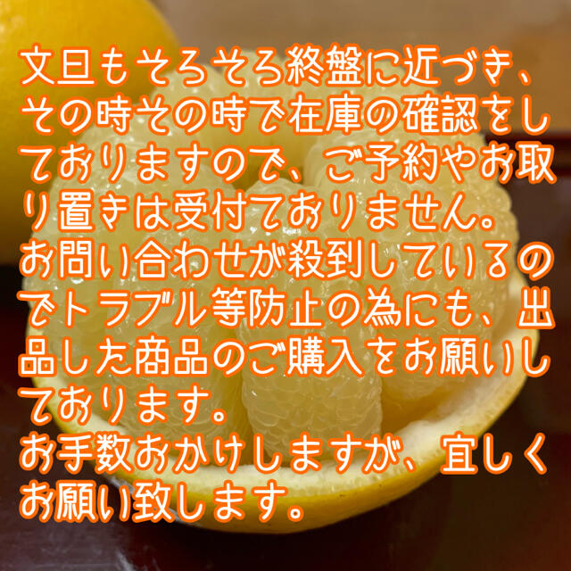 高知県産 土佐文旦 ぶんたん 10kg Mサイズ 食品/飲料/酒の食品(フルーツ)の商品写真