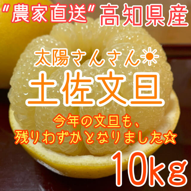 高知県産 土佐文旦 ぶんたん 10kg Mサイズ 食品/飲料/酒の食品(フルーツ)の商品写真