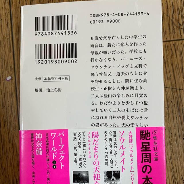 集英社(シュウエイシャ)の雨降る森の犬　小説 エンタメ/ホビーの本(その他)の商品写真