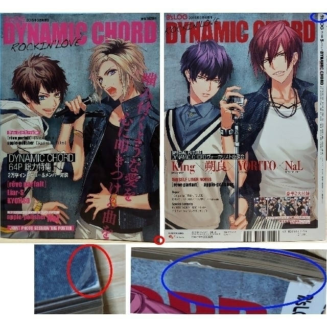 ダイナミックコード DYNAMIC CHORD  2本セット