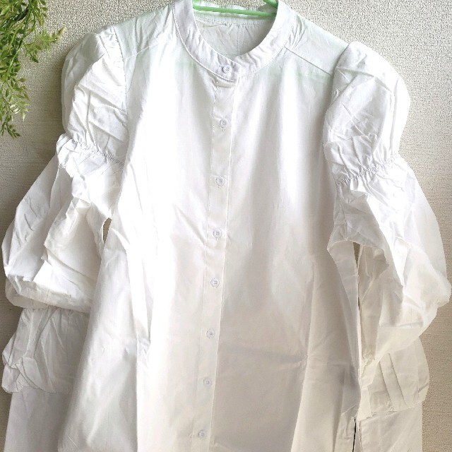 【赤字！最終価格！】ボリュームスリーブバンドカラーシャツ　オフホワイト　M レディースのトップス(シャツ/ブラウス(長袖/七分))の商品写真