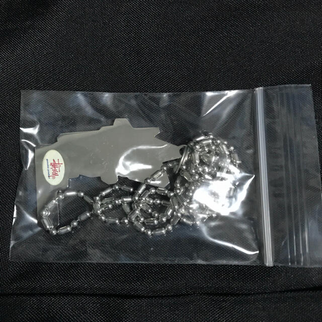 STUSSY(ステューシー)のSTUSSY ストックロゴ ネックレス / オールド ステューシー シルバー メンズのアクセサリー(ネックレス)の商品写真