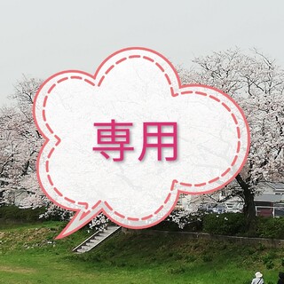 たんちゃん様専用　別冊のみROCKIN'ON JAPAN  2010年 04月号(音楽/芸能)