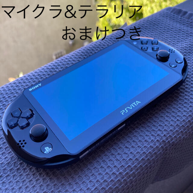 PlayStation®Vita（PCH-2000シリーズ） Wi-Fiモデルテラリア