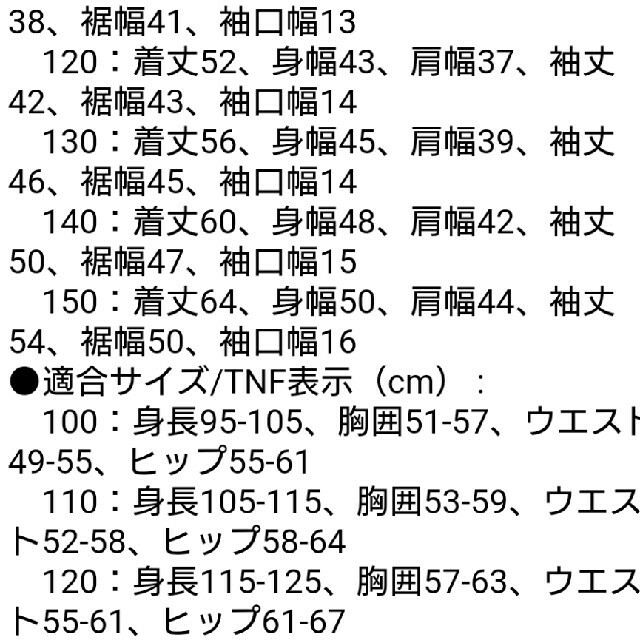 THE NORTH FACE(ザノースフェイス)のノースフェイス　キッズ150　ゴアテックス スポーツ/アウトドアのアウトドア(登山用品)の商品写真