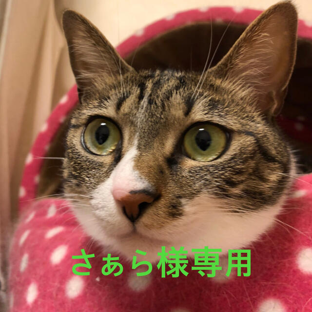 さぁら