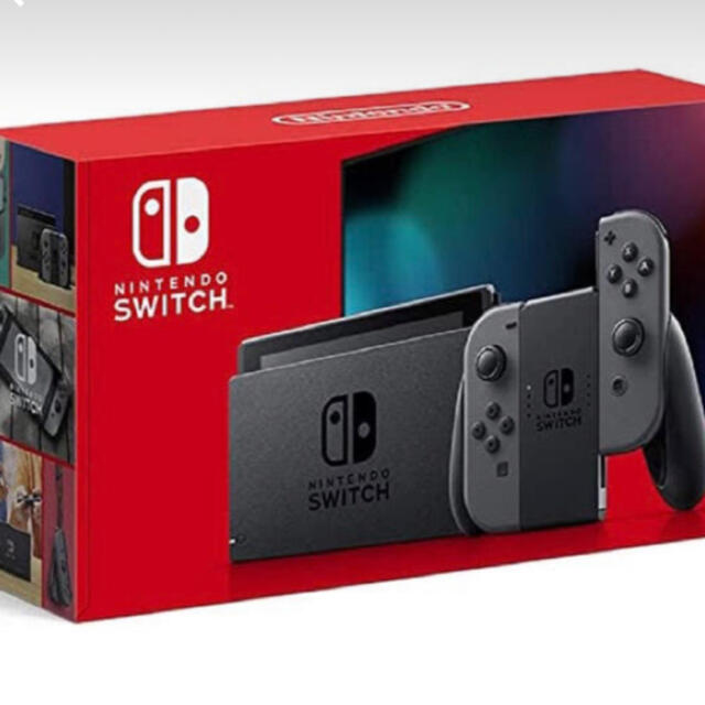 Nintendo Switch JOY-CON ニンテンドー スイッチ グレースイッチ