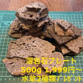 溶岩石プレート 500g 1,999円〜 ＋ 水草2種類オマケ付き(アクアリウム)