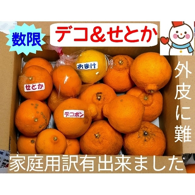 出来ました❗デコちゃん＆せとか♥家庭用訳有♥数量限定 食品/飲料/酒の食品(フルーツ)の商品写真