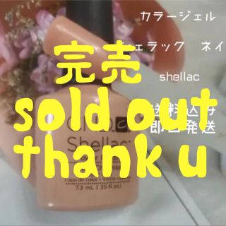 ❤︎完売　シェラックネイル (カラージェル)