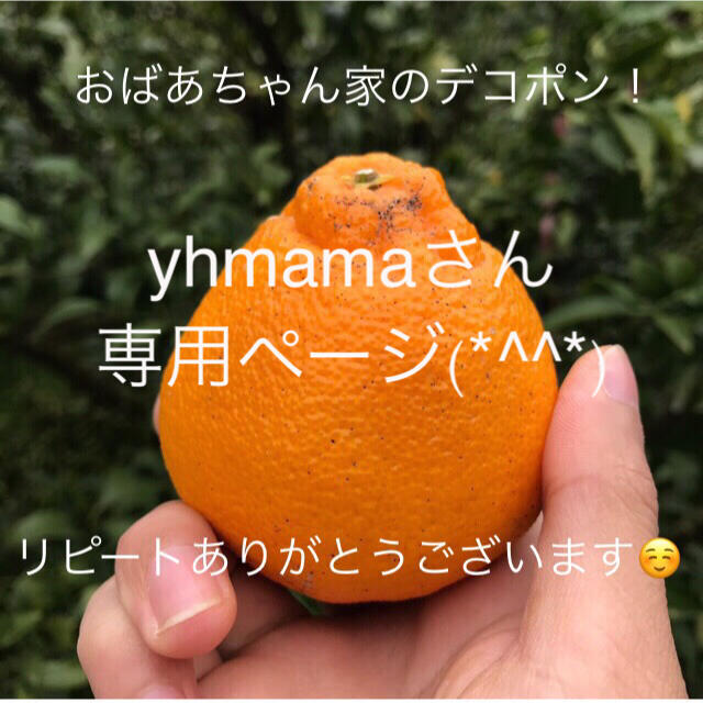 yhmamaさん専用ページとなります(*^^*) 食品/飲料/酒の食品(フルーツ)の商品写真