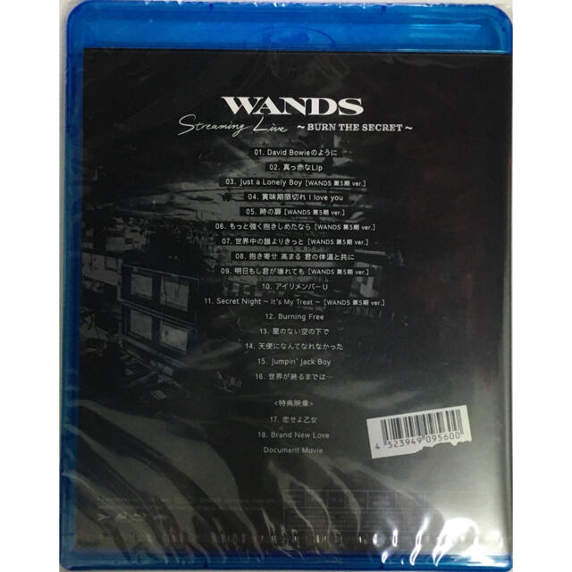 GIZA(ギザ)のWANDS　Streaming　Live　～BURN　THE　SECRET～ B エンタメ/ホビーのDVD/ブルーレイ(ミュージック)の商品写真