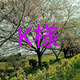 K 様(日用品/生活雑貨)