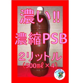 【セール】濃縮PSB 2.0L　水質浄化　産卵時の栄養補給　稚魚の液体飼料(アクアリウム)