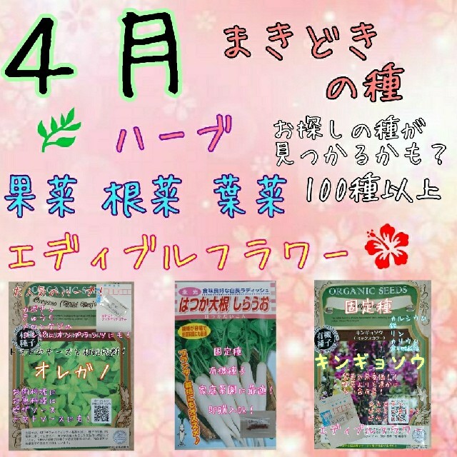 ４月まきどきの固定種 野菜の種 ハーブの種 水耕栽培 家庭菜園 種 種子 園芸 食品/飲料/酒の食品(野菜)の商品写真