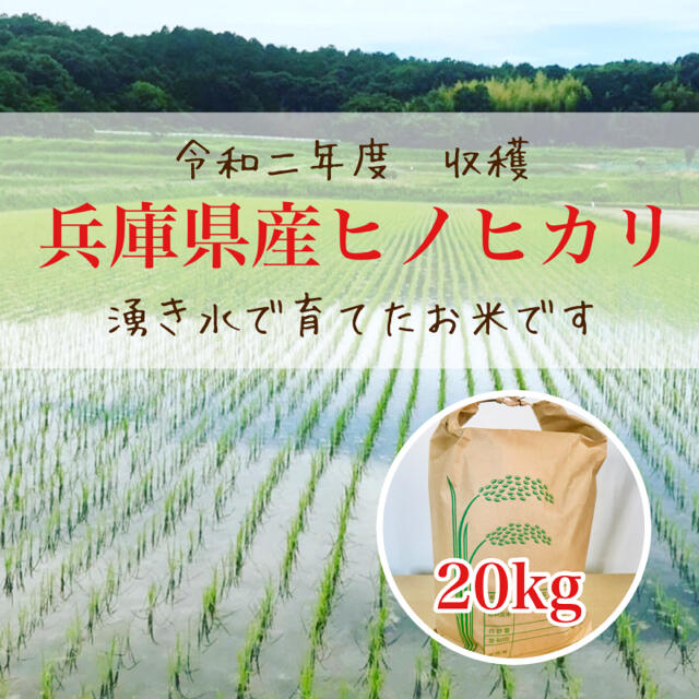 農家直送のお米 奈良県産ヒノヒカリ 20kg 令和4年度収穫