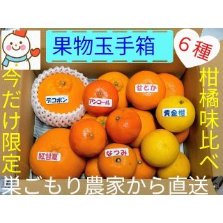 ラクマ価格で果物玉手箱♥今だけ❗珍しい高級柑橘の味比べ♥雪だるま直送(フルーツ)