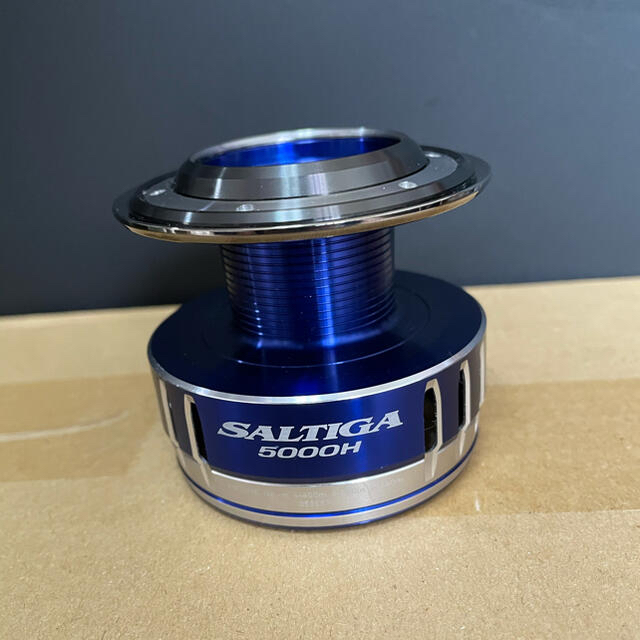 daiwa 15 ソルティガ 5000h スプール 注目の www.gold-and-wood.com
