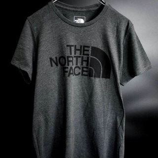 ザノースフェイス(THE NORTH FACE)の新品 THE NORTH FACE ノースフェイス【L】ビッグプリント (Tシャツ(半袖/袖なし))