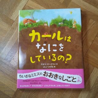 カールはなにをしているの？(絵本/児童書)