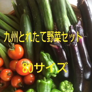 野菜詰め合わせ(野菜)