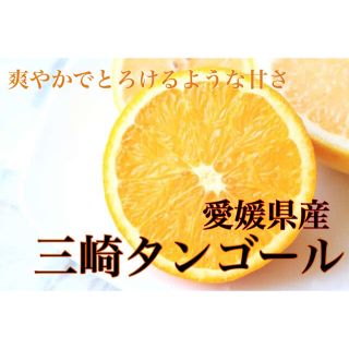 超オススメ！まるで食べるみかんジュース！！【三崎タンゴール】Lサイズ 5kg(フルーツ)