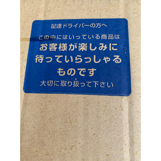 Coleman(コールマン)の新品 コールマン 120周年 54QT スチールベルトクーラー　クーラーボックス スポーツ/アウトドアのアウトドア(その他)の商品写真