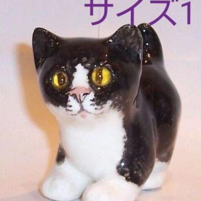 最も優遇 可愛い白黒のハチワレ猫 ウィンスタンレイキャット ケンジントンキャット サイズ1 期間限定セール Www Globaldentalcentre Org