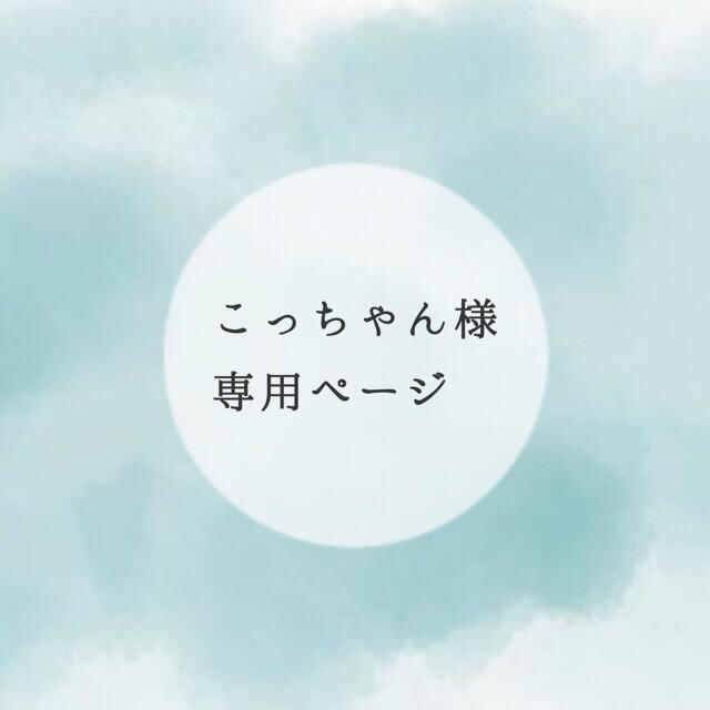 こっちゃん様専用 ハンドメイドのハンドメイド その他(その他)の商品写真