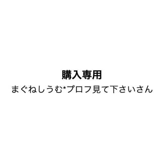 まぐねしうむ*プロフ見て下さいさん専用(その他)