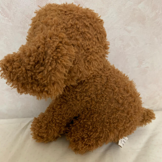 トイザらス(トイザラス)の犬　ぬいぐるみ エンタメ/ホビーのおもちゃ/ぬいぐるみ(ぬいぐるみ)の商品写真