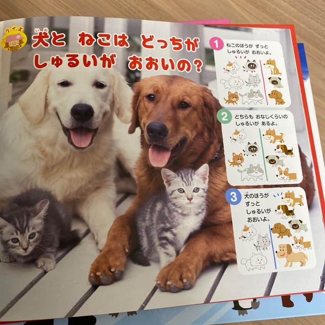 みい様専用　なぜなぜクイズ絵本12ヶ月分セット エンタメ/ホビーの本(絵本/児童書)の商品写真