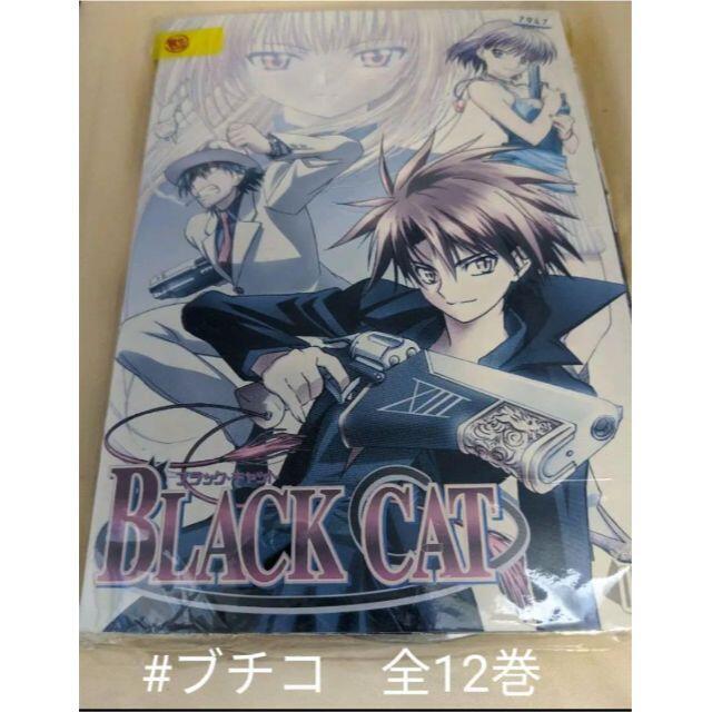 Black Cat ブラック キャット レンタル落ち 12巻セット Dvd の通販 By ブチコ S Shop ラクマ