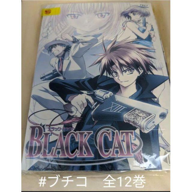 Black Cat ブラック キャット レンタル落ち 12巻セット Dvd の通販 By ブチコ S Shop ラクマ Black Cat ブラック キャット レンタル落ち 12巻セット Dvd の通販 By ブチコ S Shop ラクマ
