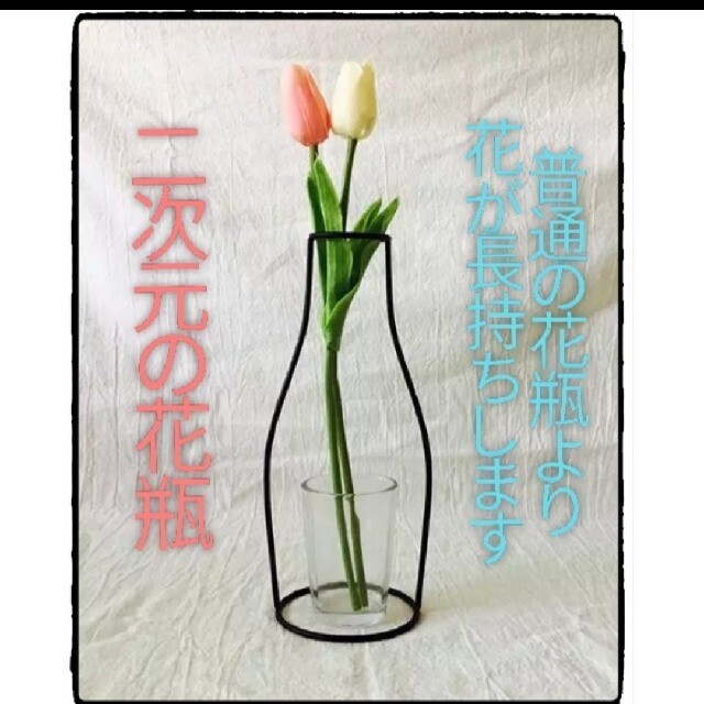 花が超長持ちする二次元花瓶 2d花瓶 アート花瓶 の通販 By Moby S Shop ラクマ 花が超長持ちする二次元花瓶 2d花瓶 アート花瓶 の通販 By Moby S Shop ラクマ