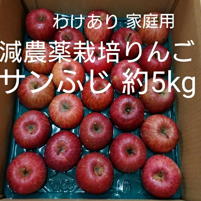 減農薬栽培りんご サンふじ約5kg(わけあり家庭用) 食品/飲料/酒の食品(フルーツ)の商品写真