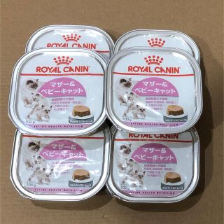 ロイヤルカナン(ROYAL CANIN)のロイヤルカナン ベビー＆マザーキャット6個 妊娠・授乳・子猫用ウェットフード(ペットフード)