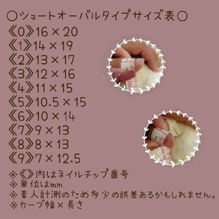 グレージュネイル　No.6　pearis.t コスメ/美容のネイル(つけ爪/ネイルチップ)の商品写真