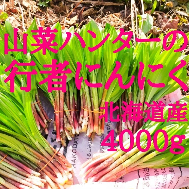 まさパパ様専用出品山菜ハンターが選んだ行者にんにく　北海道函館産　4000グラム 食品/飲料/酒の食品(野菜)の商品写真