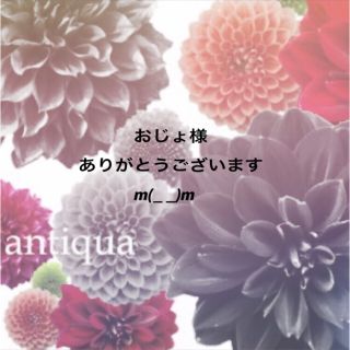 アンティカ(antiqua)のおじょ様ご専用になります。2点おまとめありがとうございますm(_ _)m(その他)