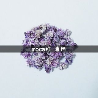 【moca様専用】かすみ草のドライフラワー(ドライフラワー)