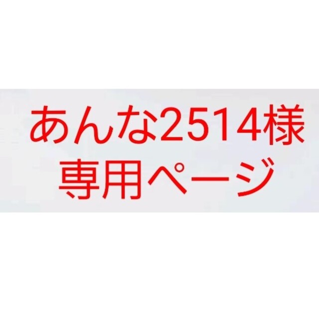 専用 ハンドメイドのキッズ/ベビー(外出用品)の商品写真